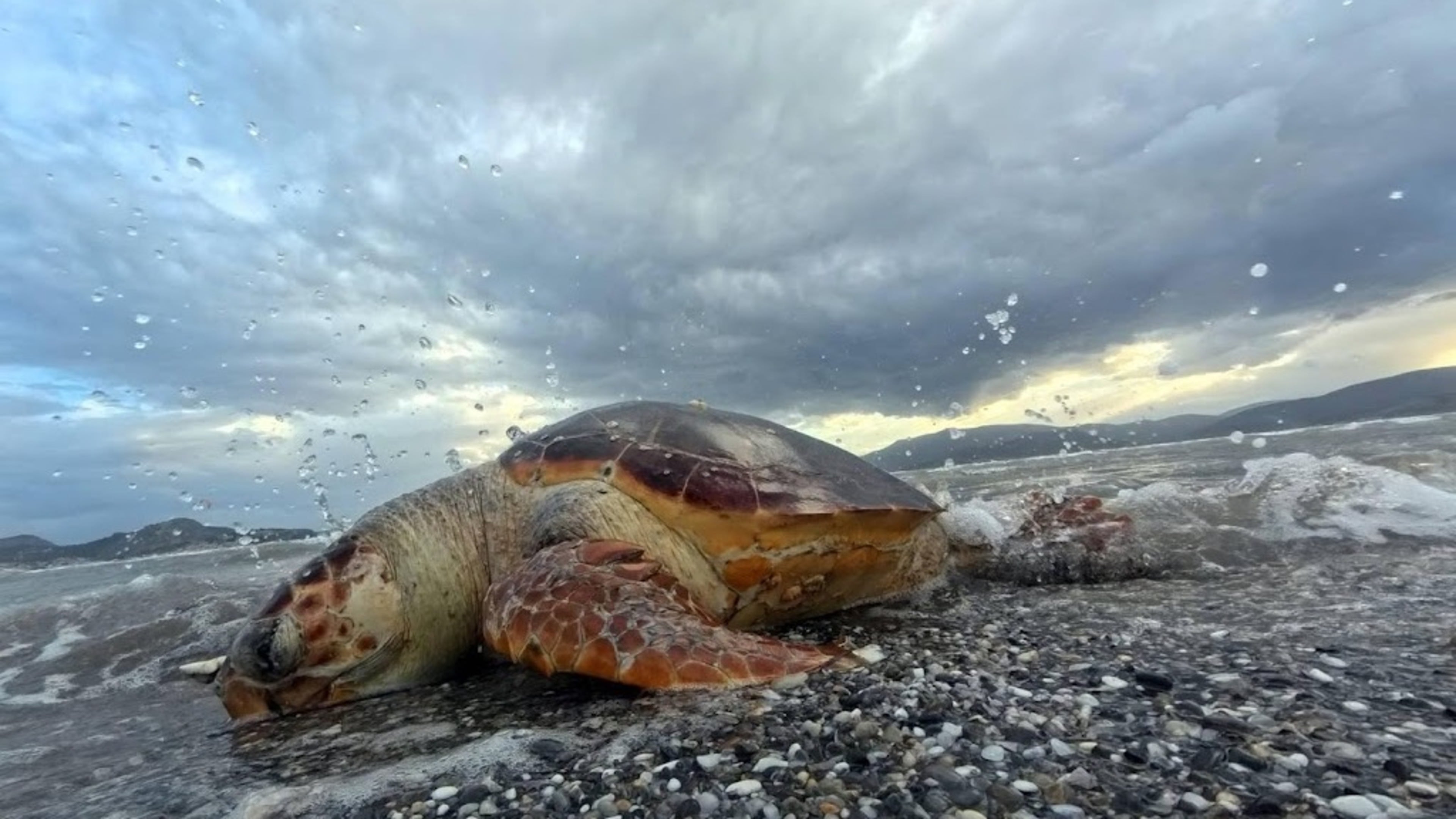 UN report: Ocean health is in serious danger