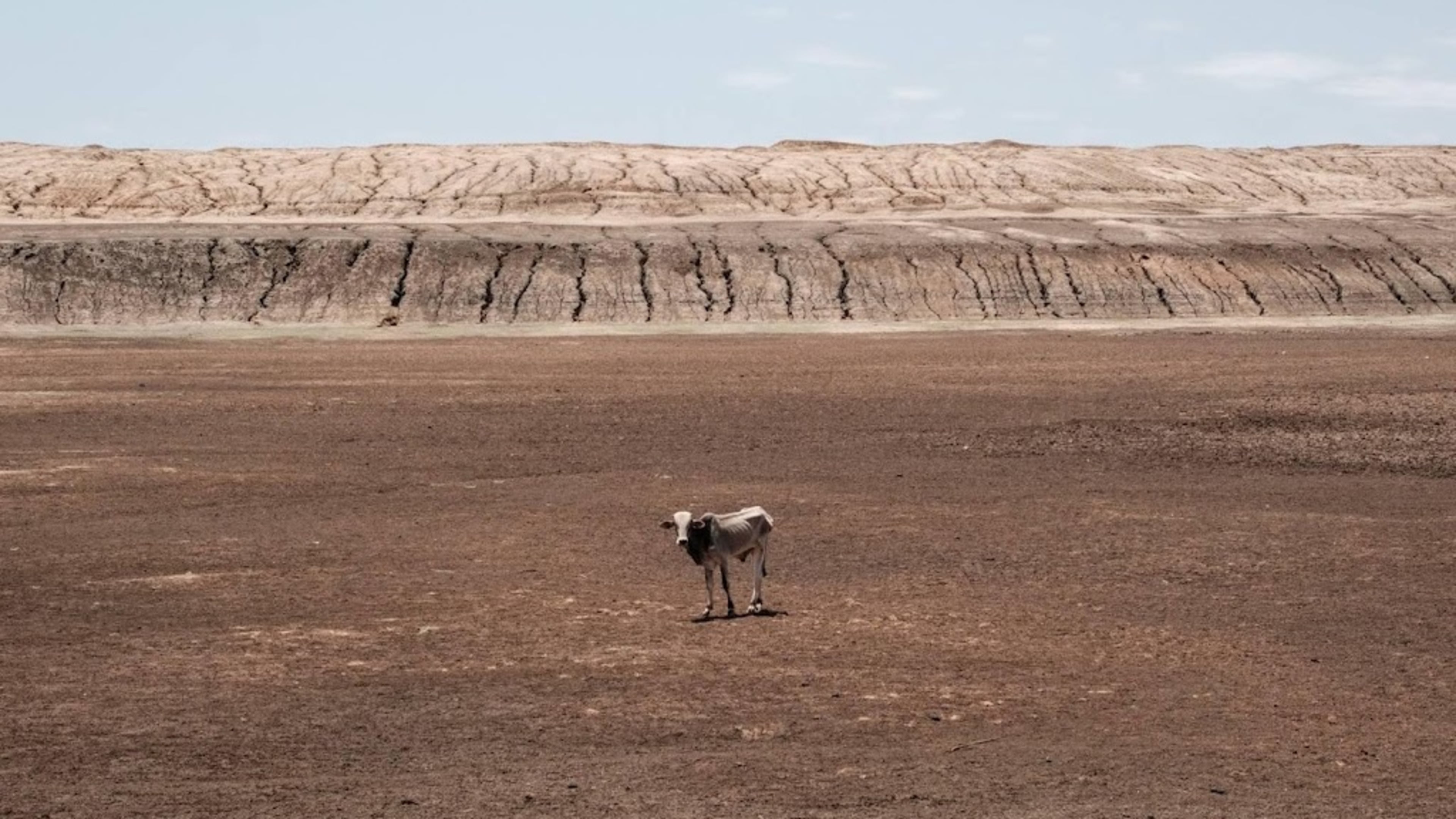 WMO: Warming hits Africa hard, glaciers almost gone