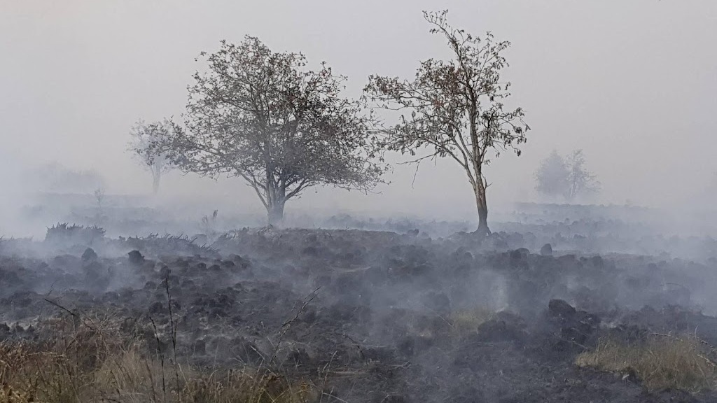 ruim-2000-hectare-verbrand-in-belgisch-natuurgebied-hoge-venen