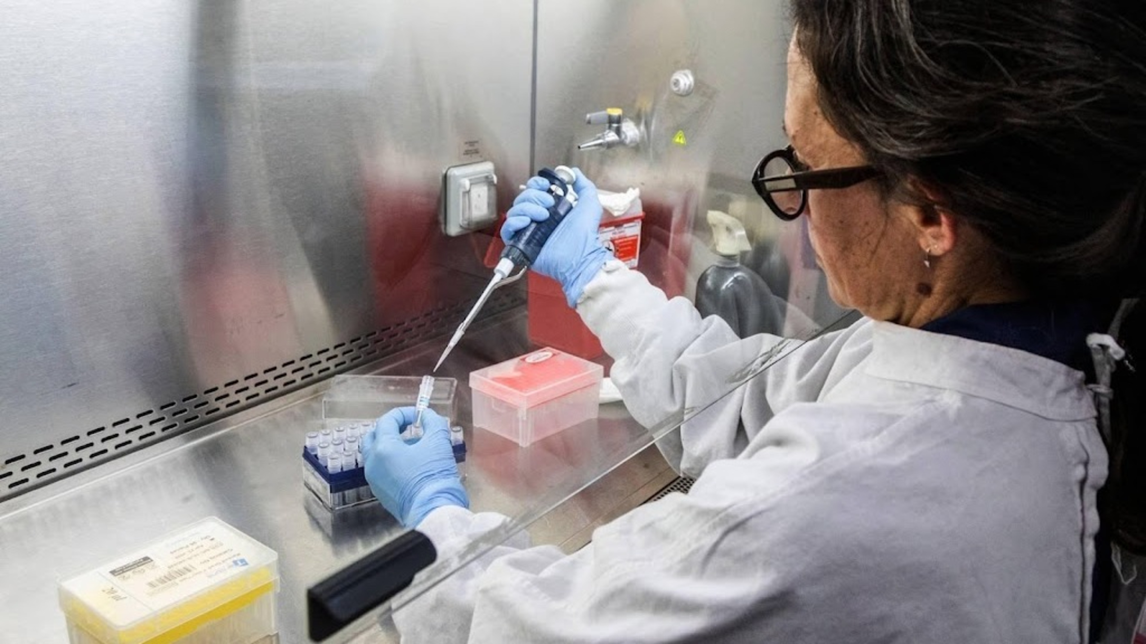 Argentina: source of hantavirus infection not yet confirmed