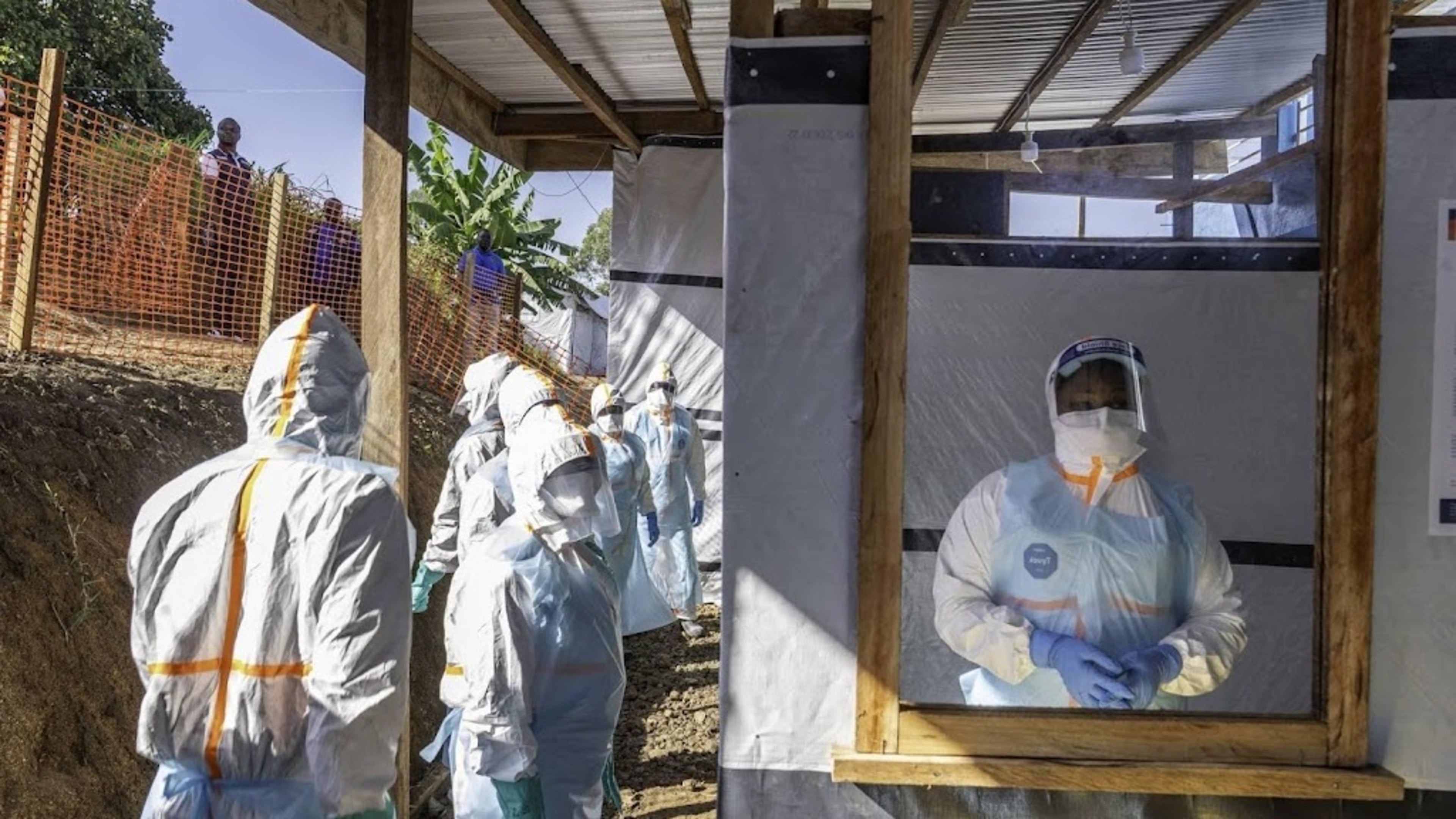WHO reports sharp drop in suspected Ebola cases