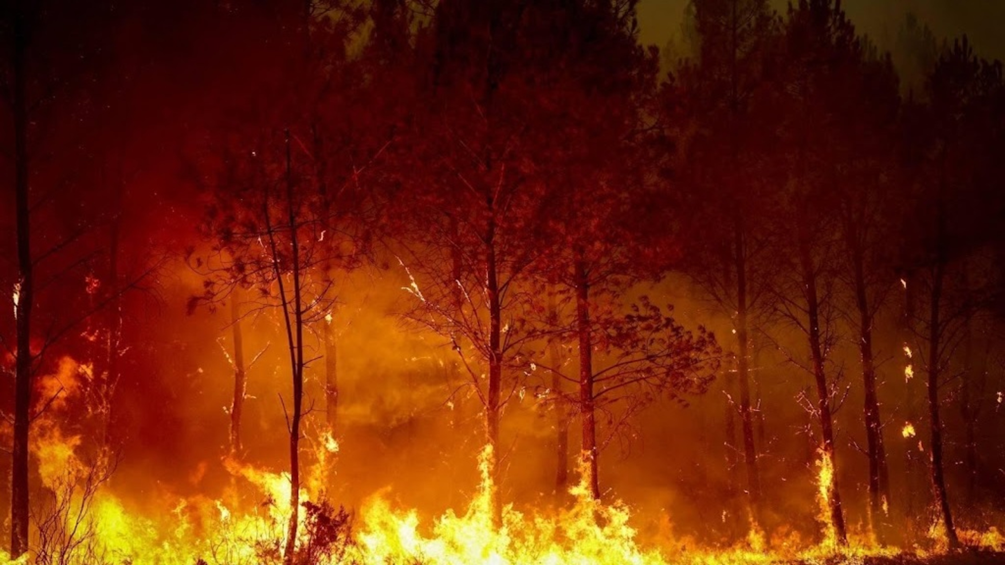 Franse tiener vast om fatale bosbrand bij Bordeaux
