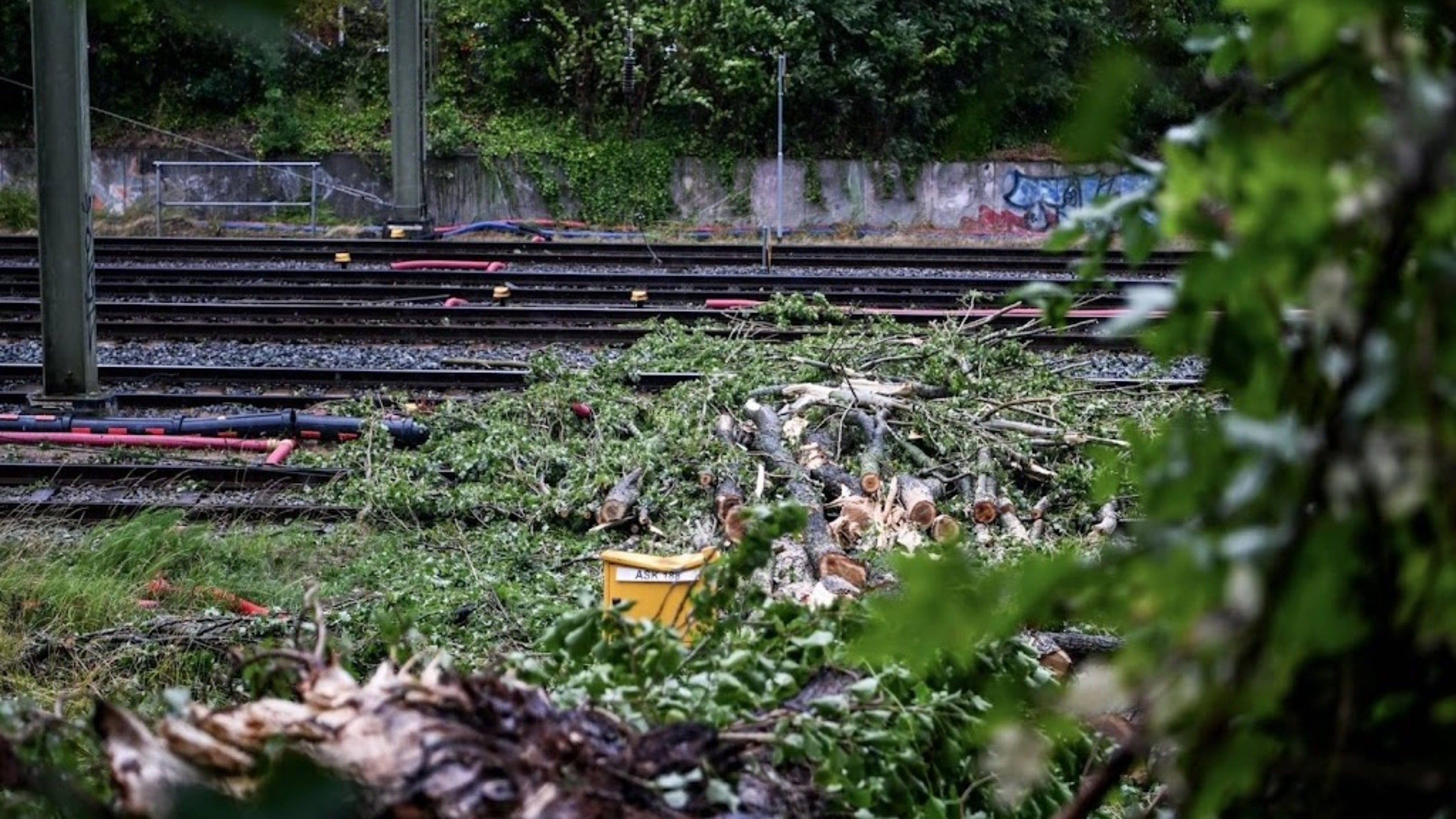ProRail: storm causing major disruptions on the railways