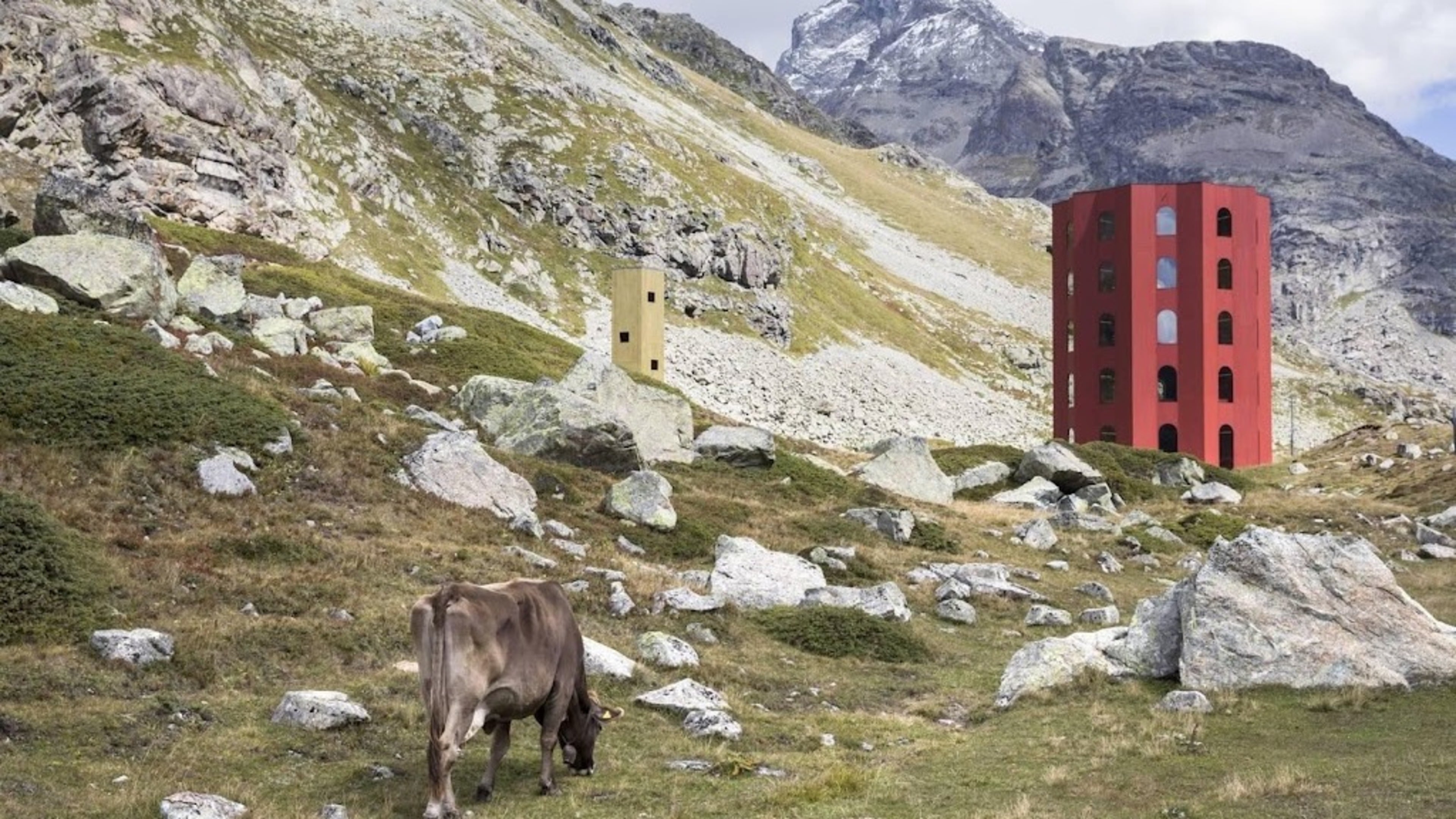 Another fatal cow attack in Austria