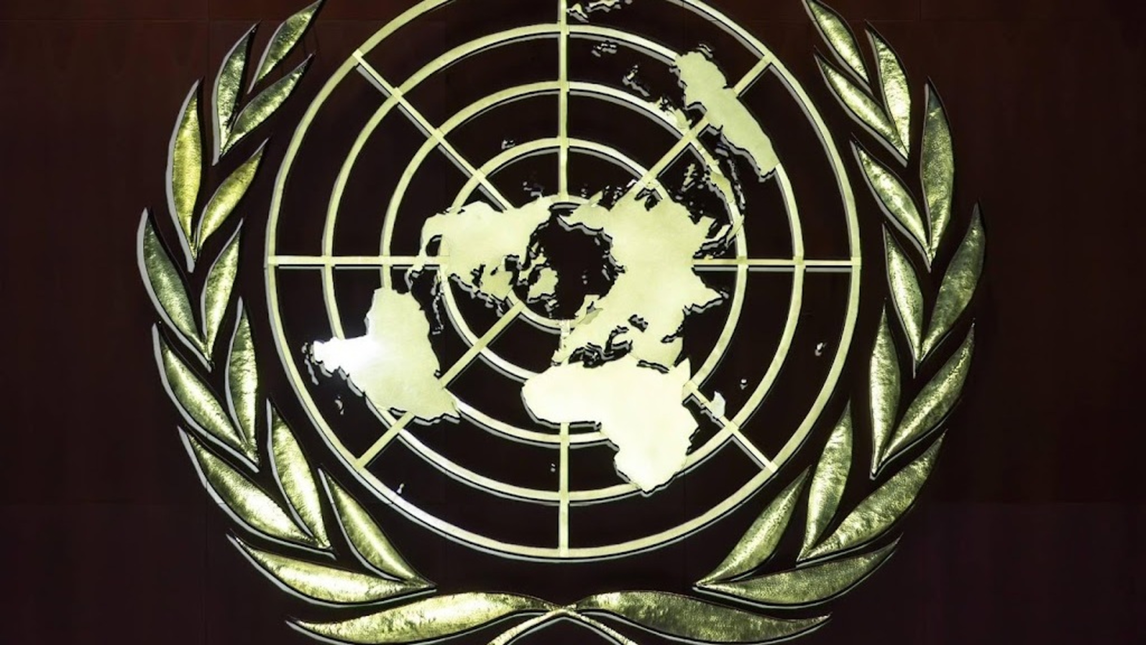 UN experts call for stop to arms deliveries to Israel