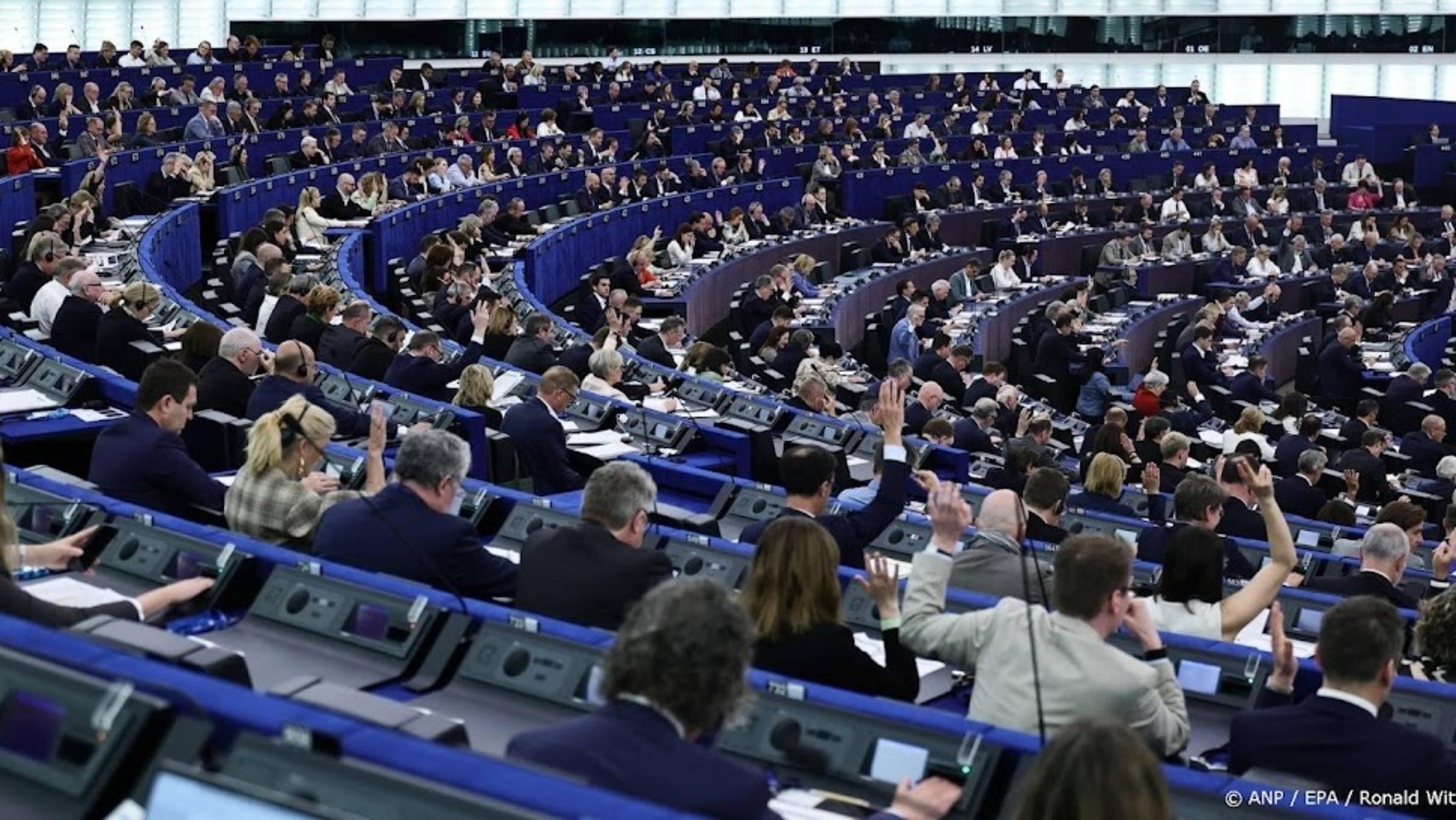 MEPs allowed to be replaced during pregnancy