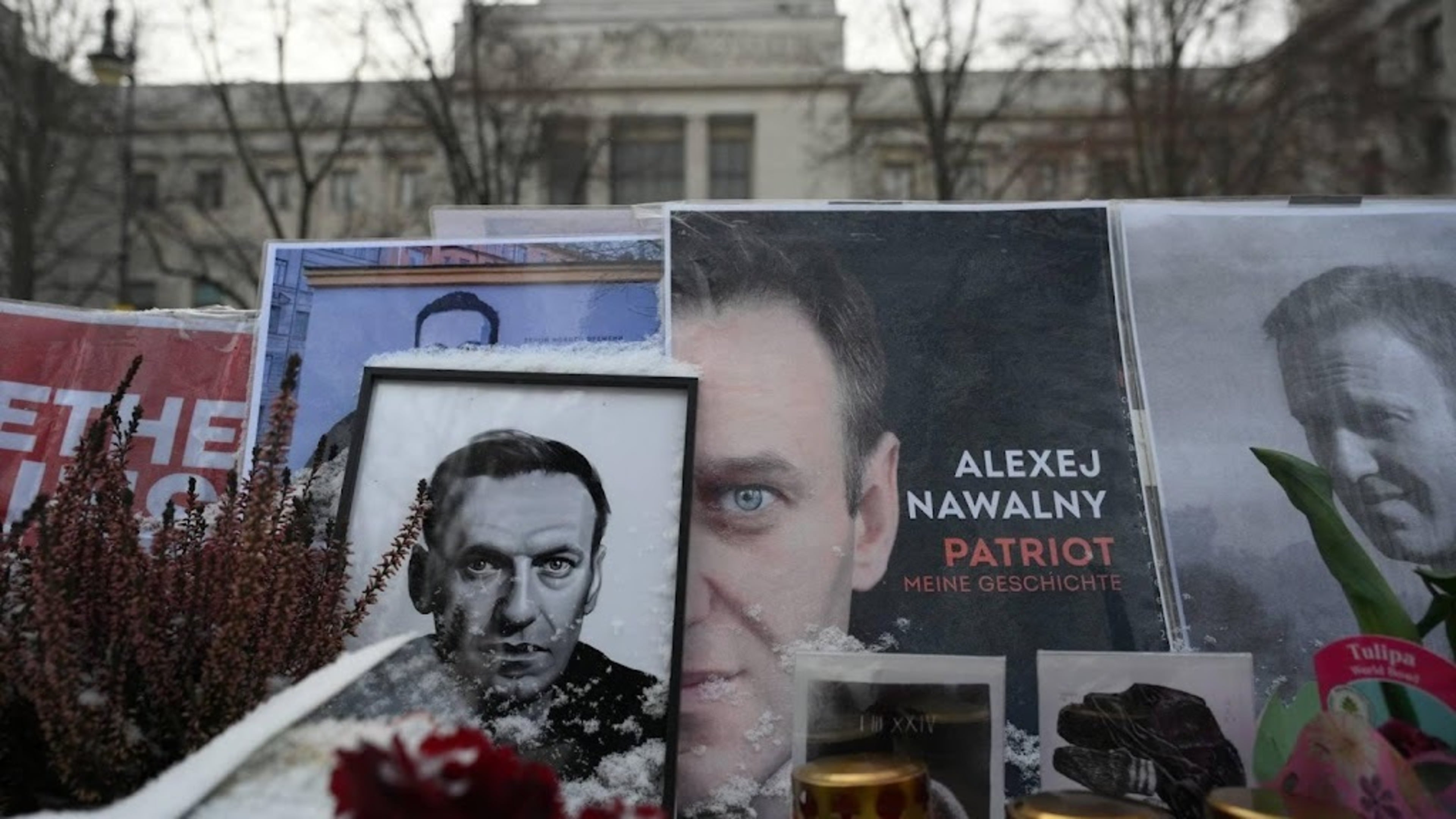 EU ministers agree on sanctions over Navalny's death