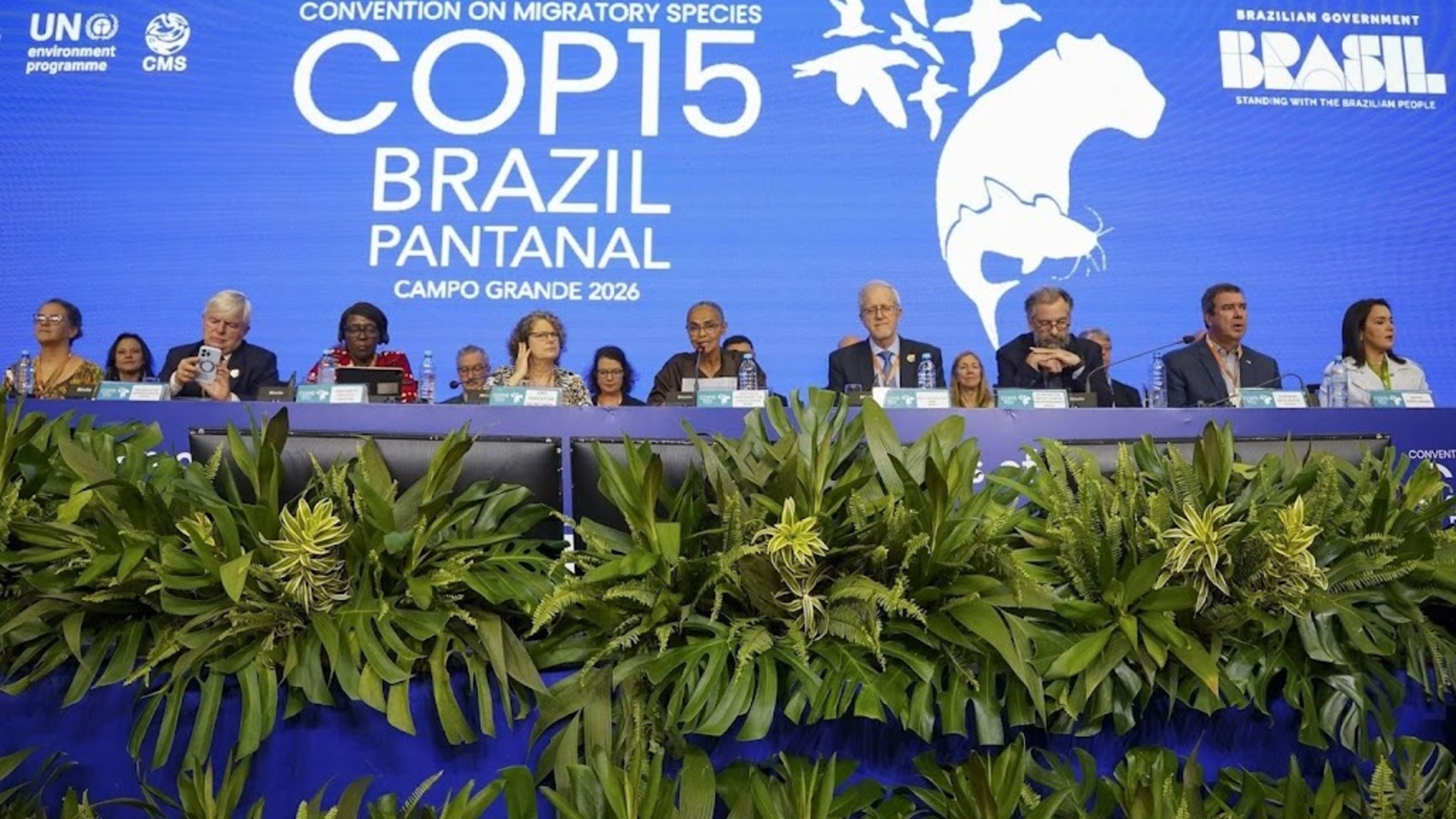 UN report: Hundreds of migratory fish species need protection