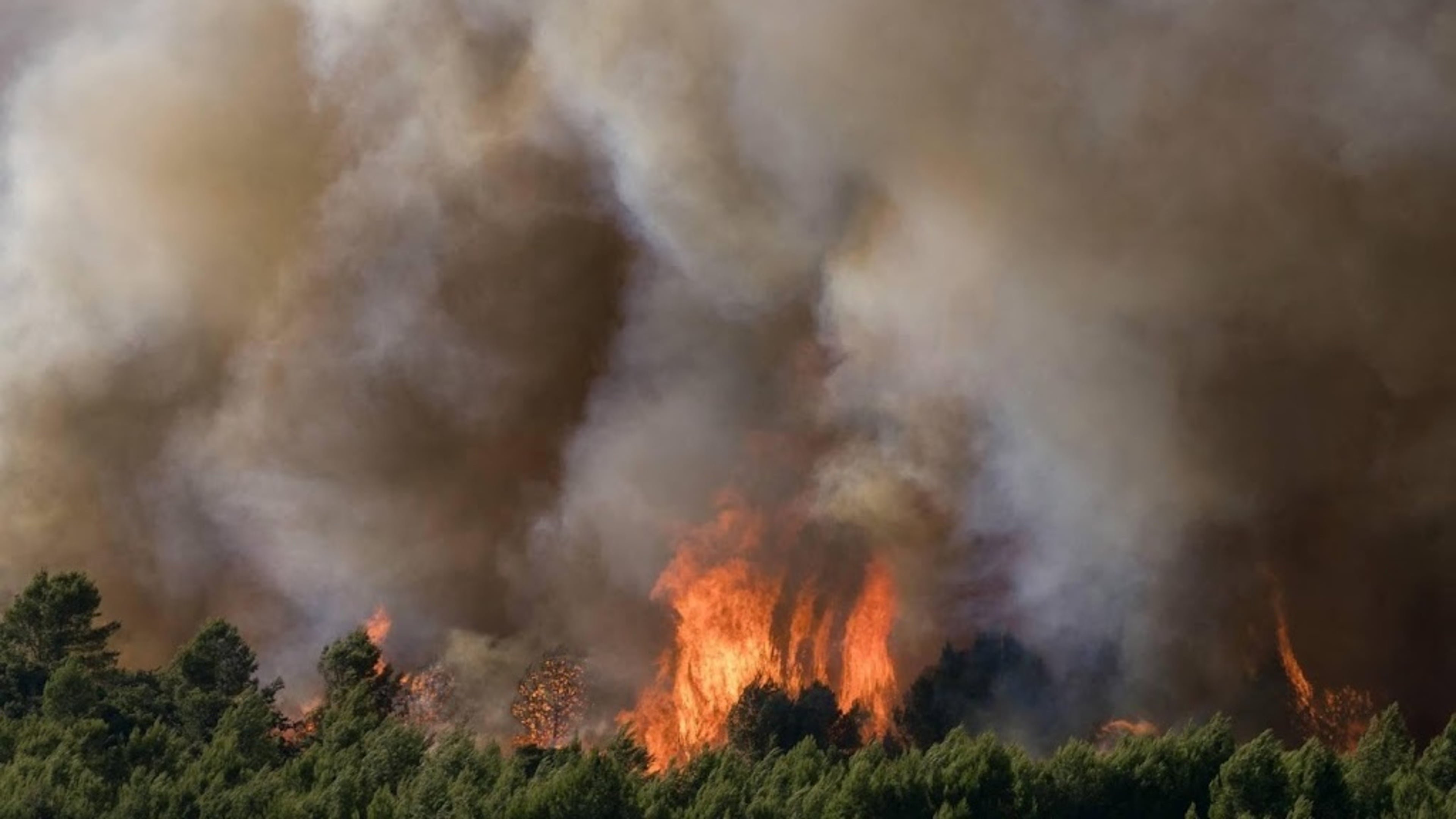 Large new wildfire destroys 930 hectares in Southern France