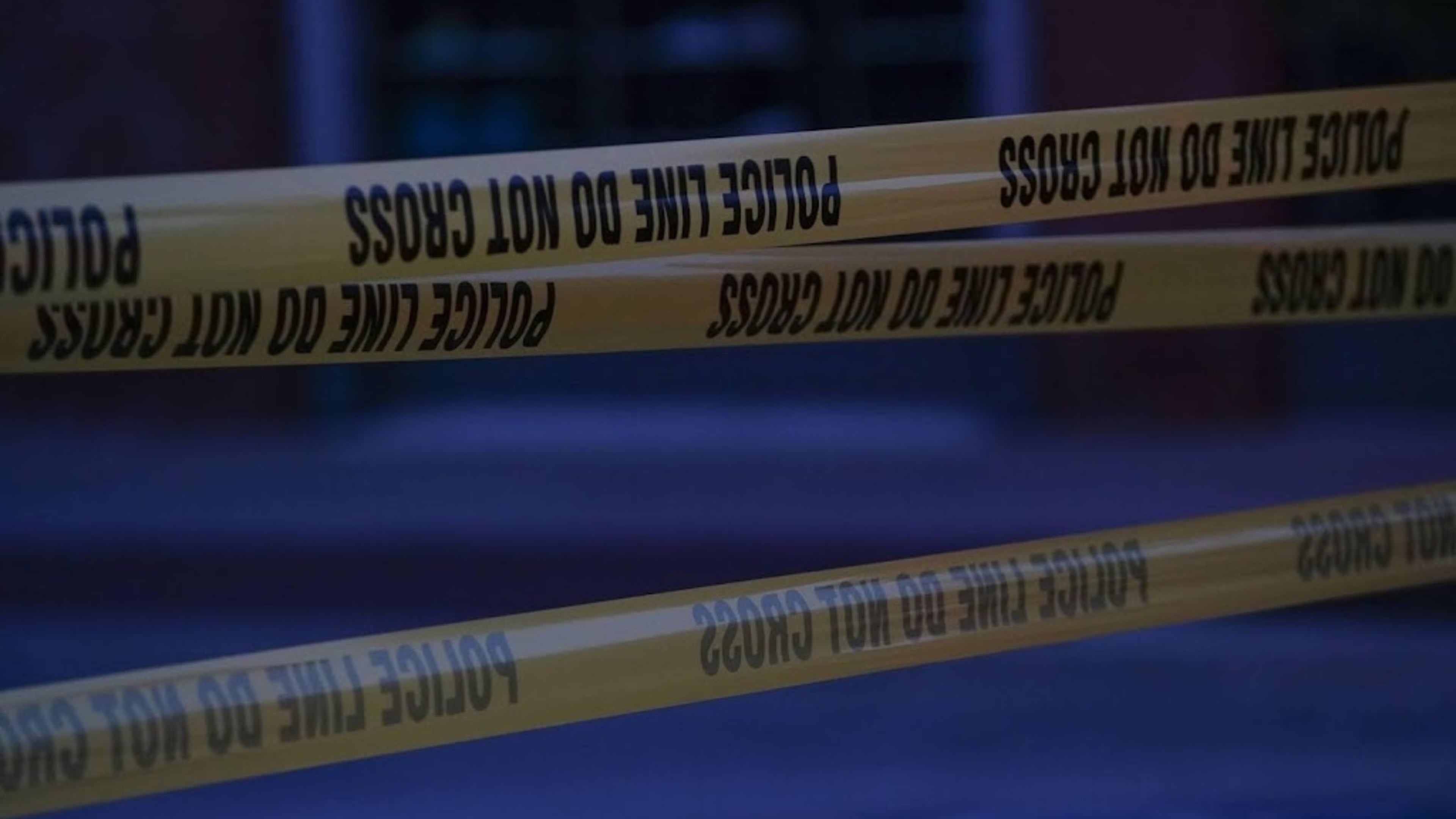 Multiple victims in US festival shooting