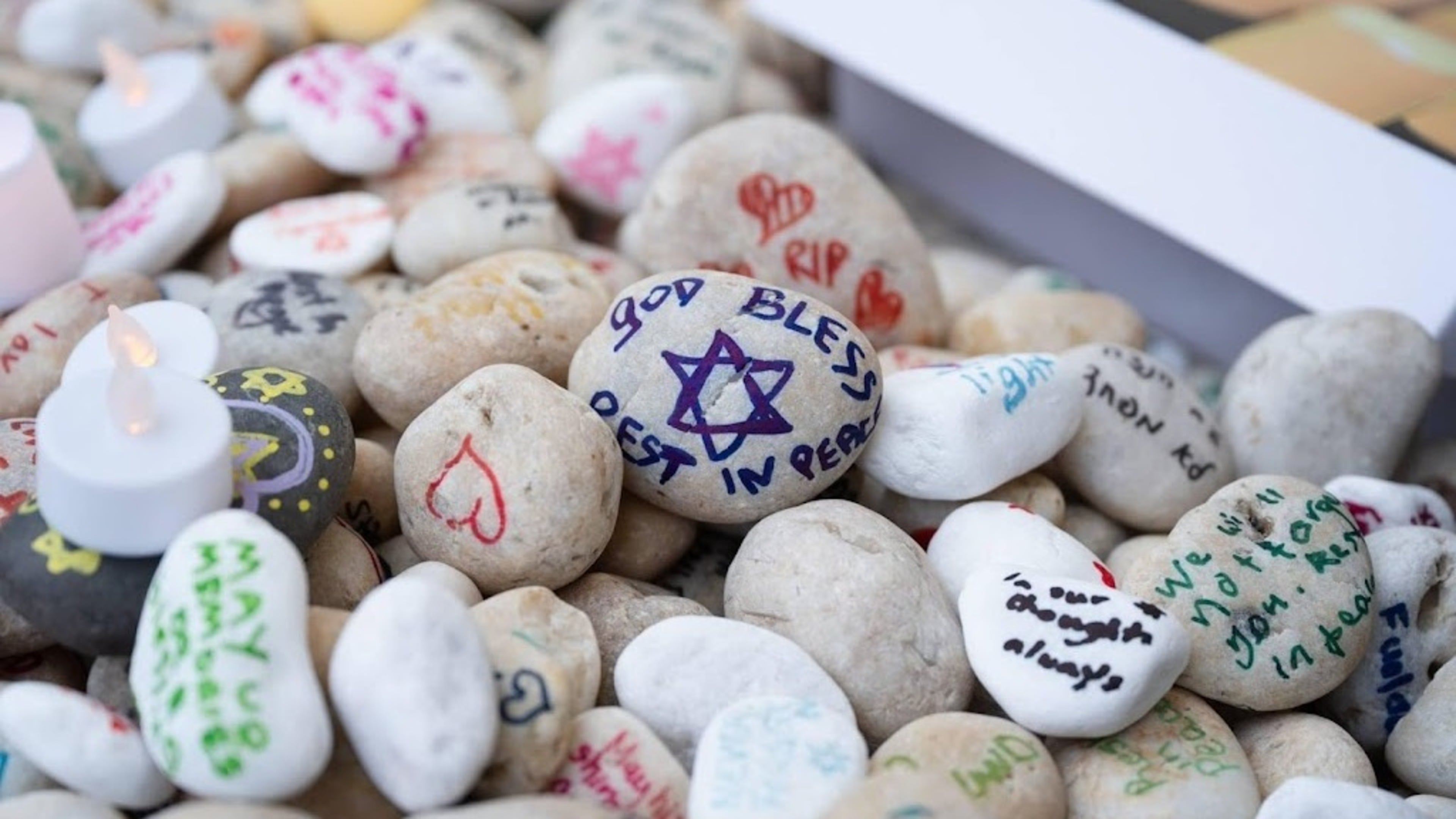 Investigation: Jewish group warned of Bondi attack before violence