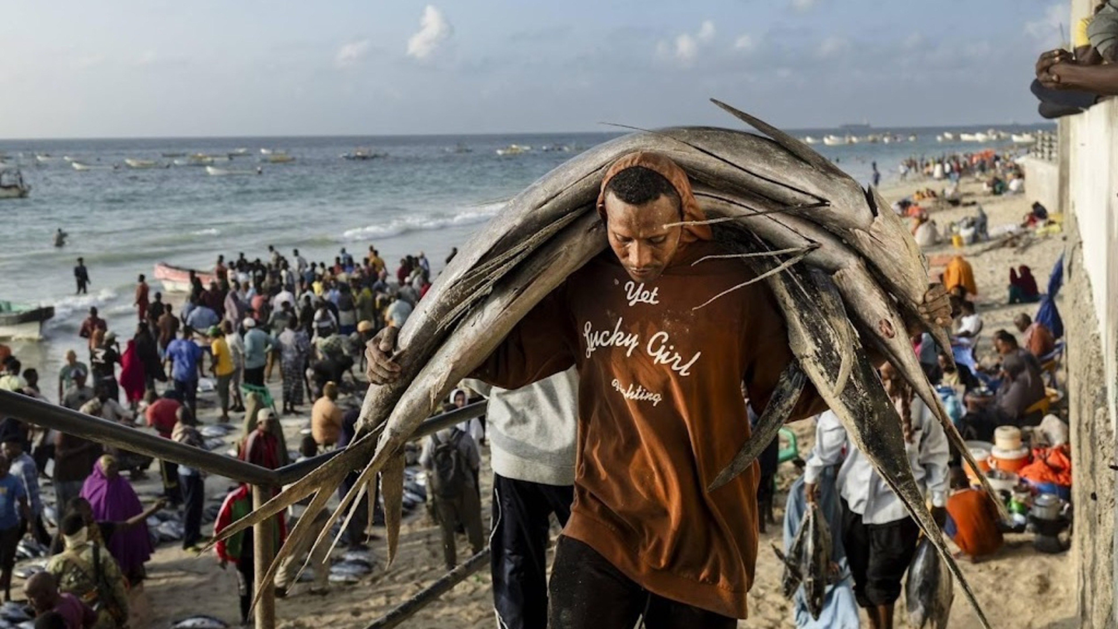 Food scarcity rising alarmingly in war-torn Somalia