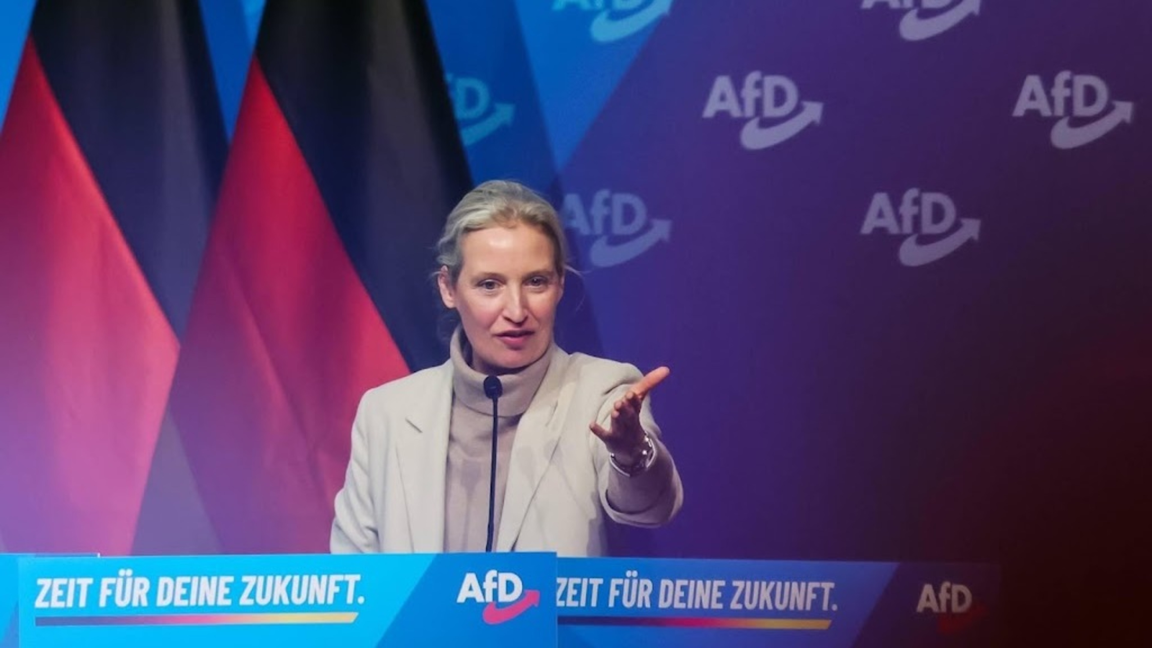 Court temporarily blocks AfD extremism label