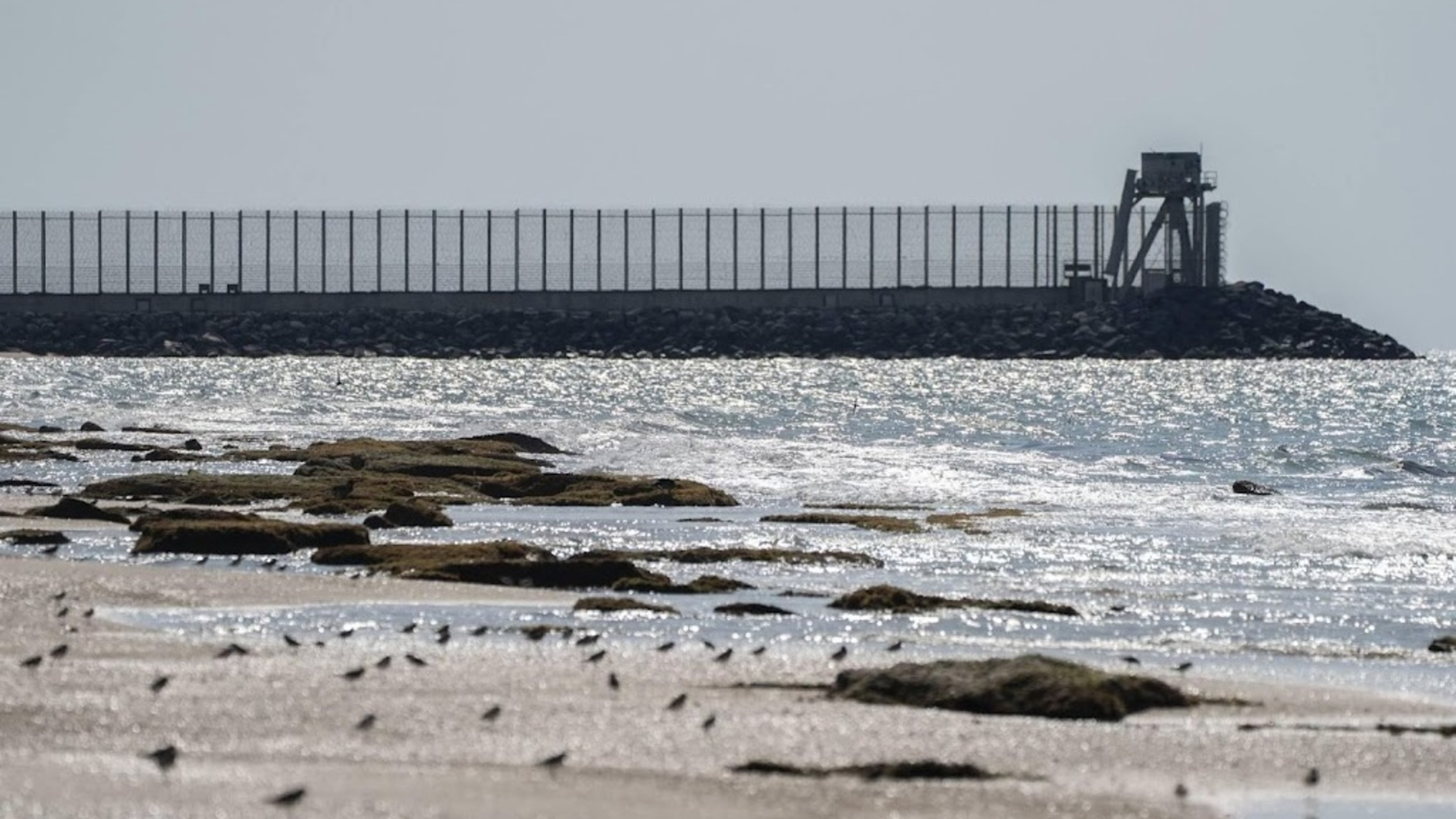 Israel reopens Zikim border crossing to Gaza