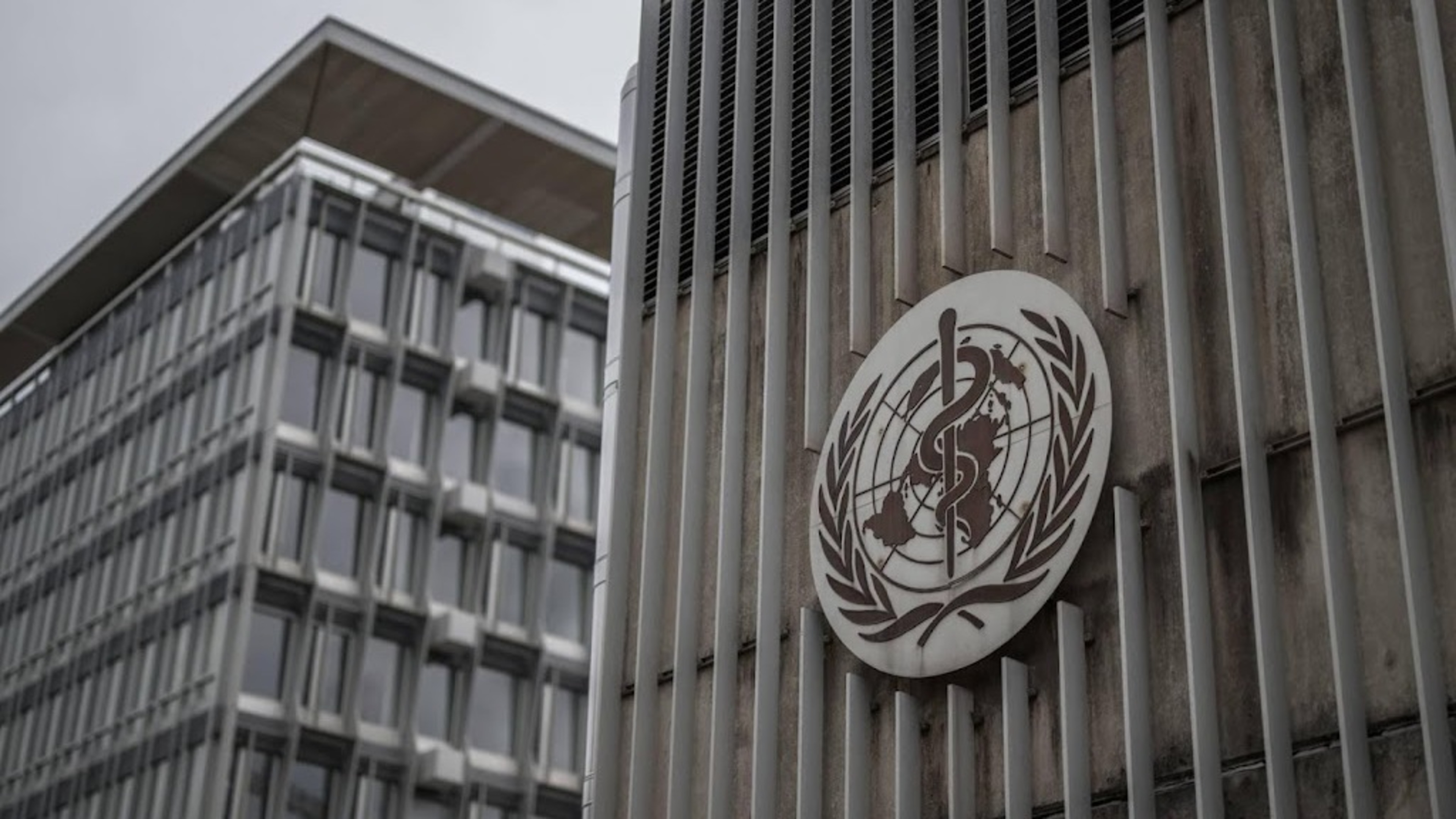 Argentina officially withdraws from World Health Organization