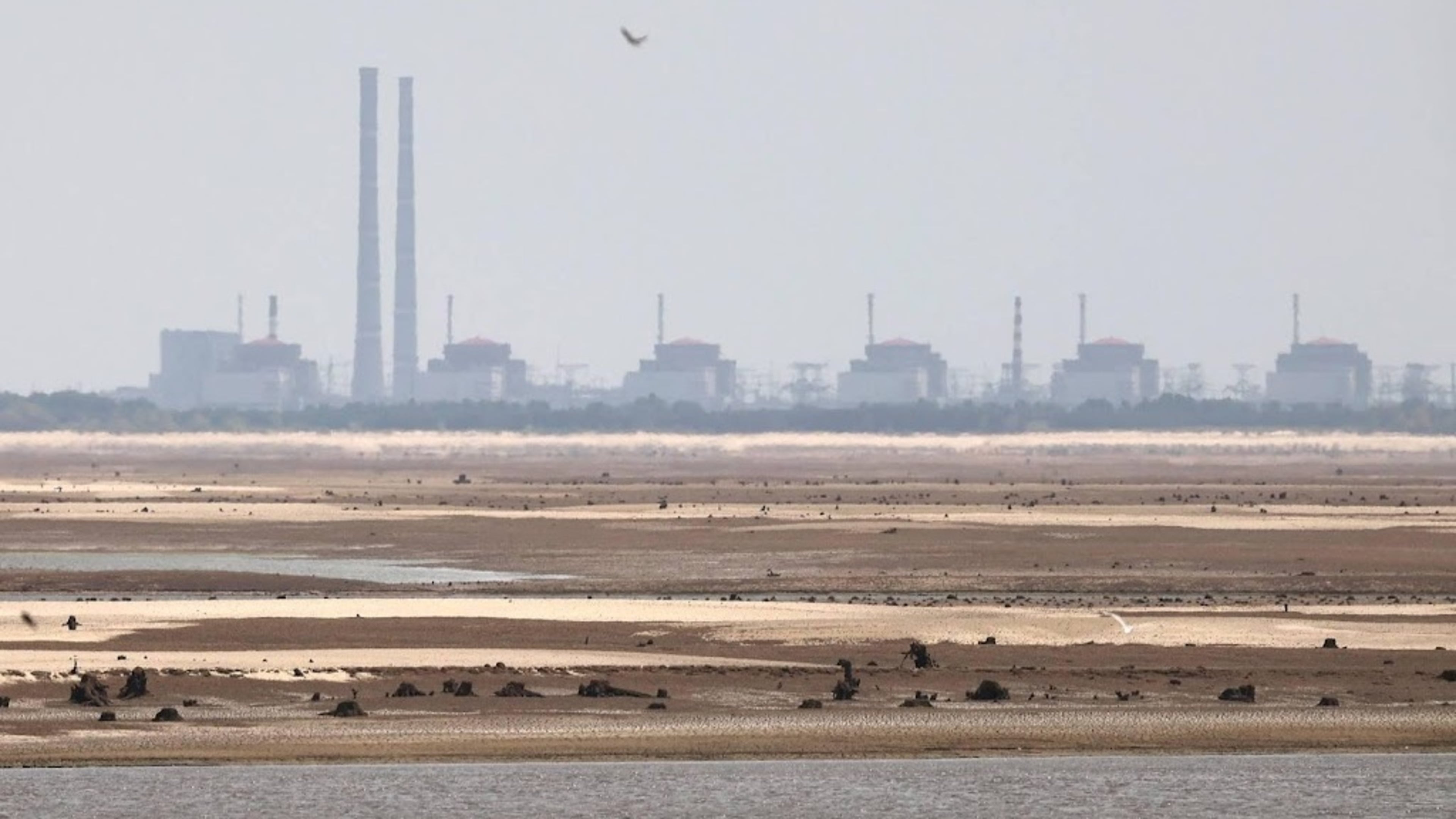IAEA: local ceasefire for repairs at Ukraine nuclear plant