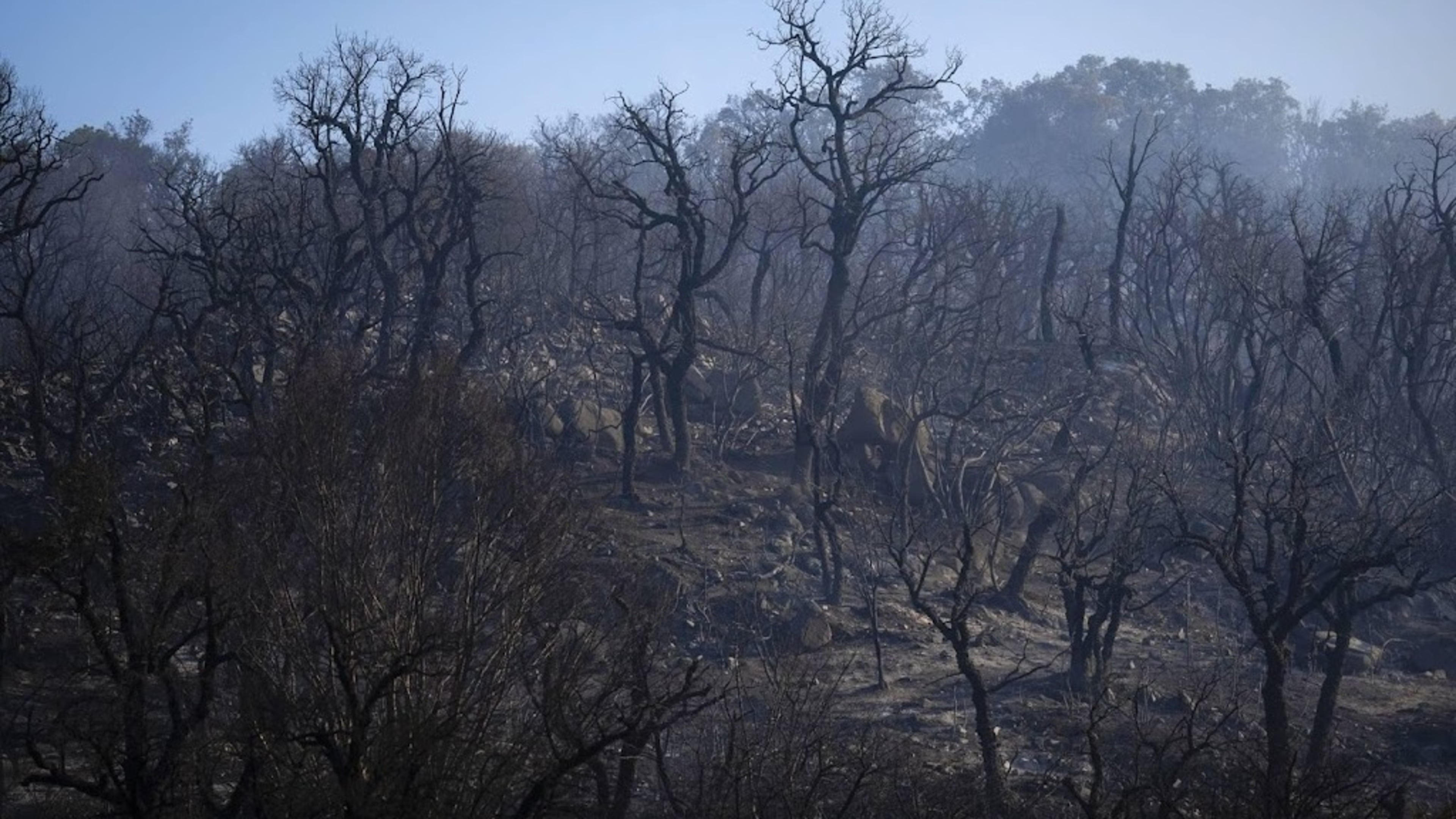 Wildfire near Costa Brava under control