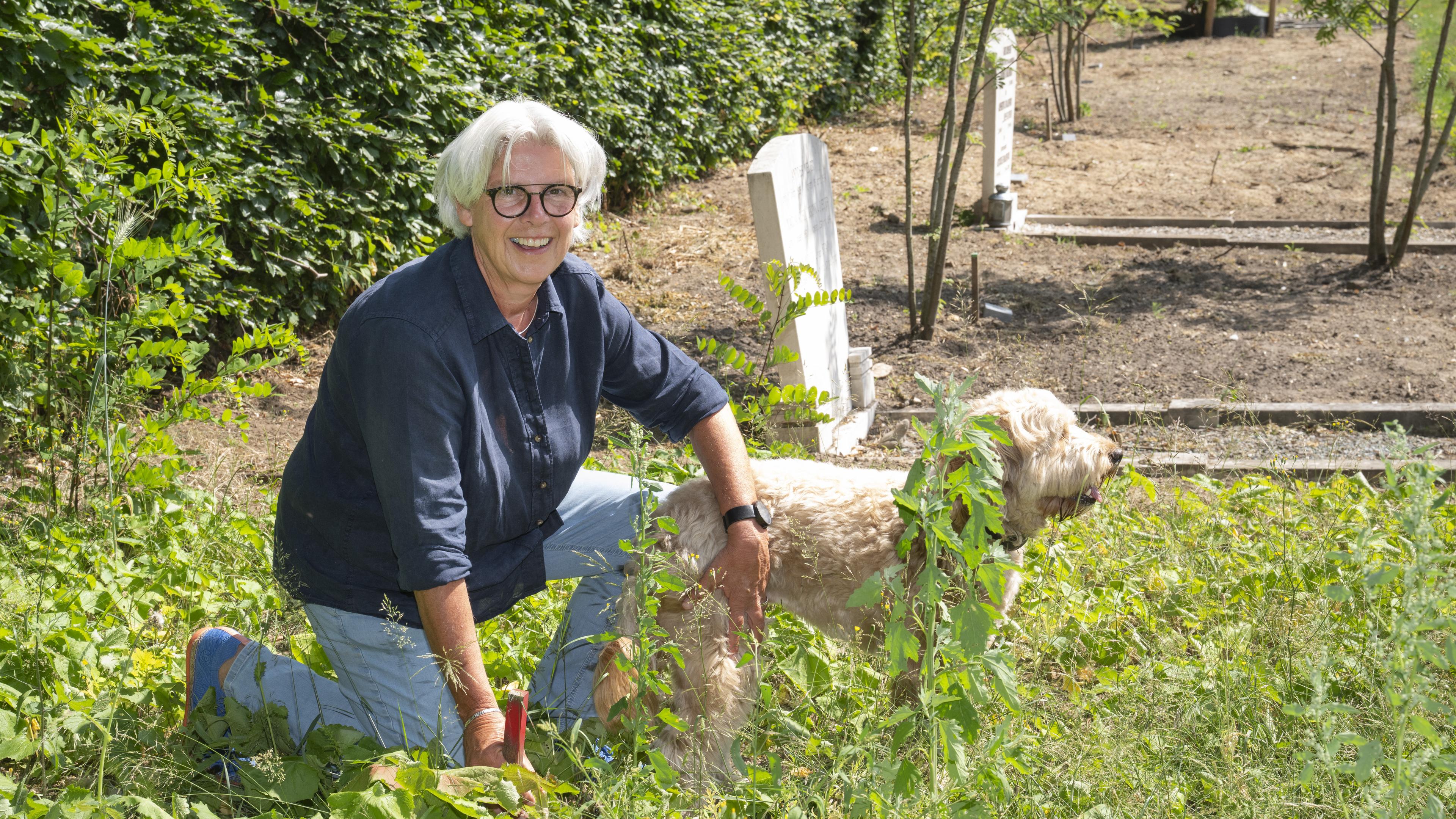 De Noorderbegraafplaats komt weer tot leven. Eeuwige rust tussen de wilde bloemen. ’Zoveel schoonhei