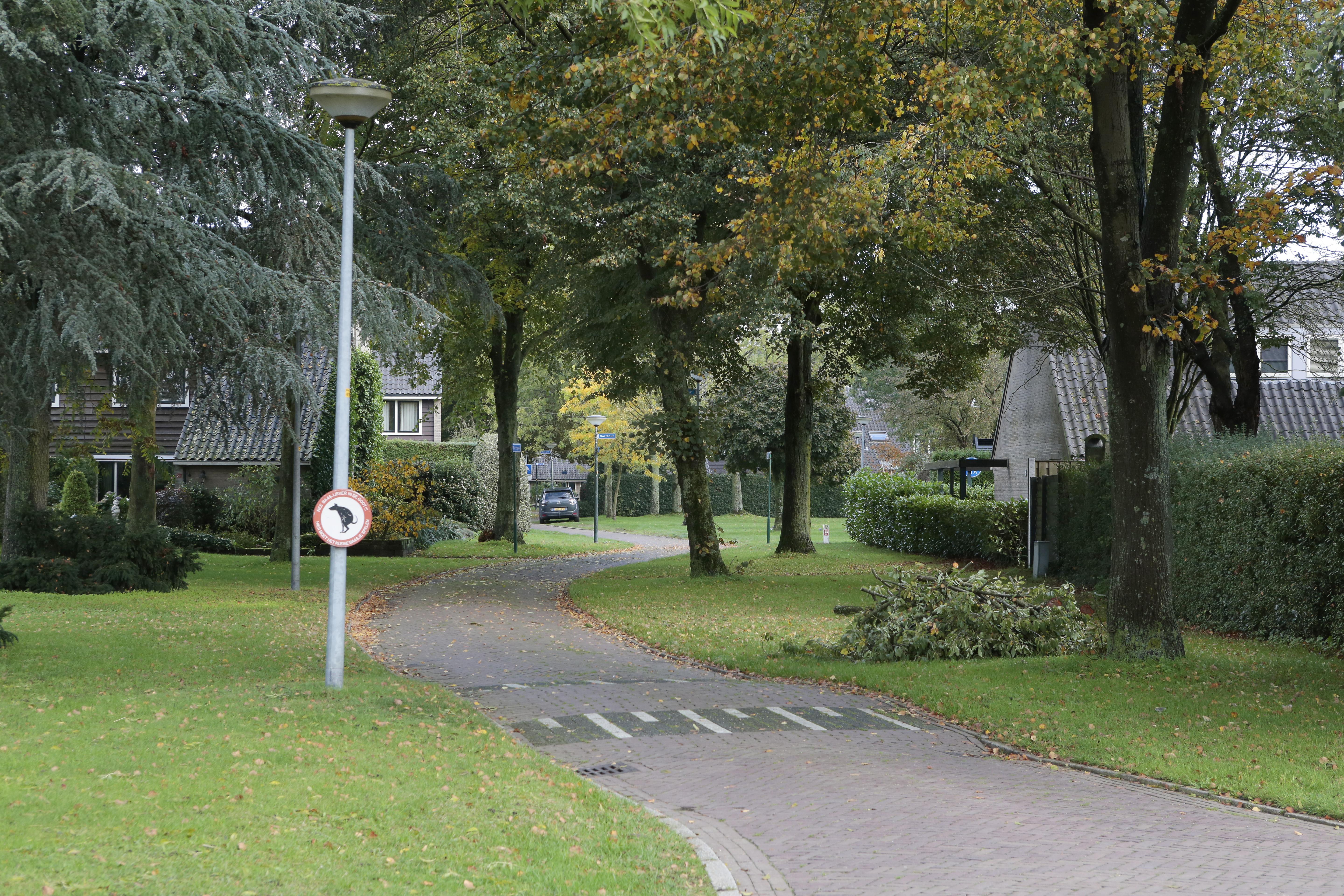 Bouwvenen Blaricum nu ook op de schop; Samen met bewoners wordt gewerkt aan plan voor renovatie