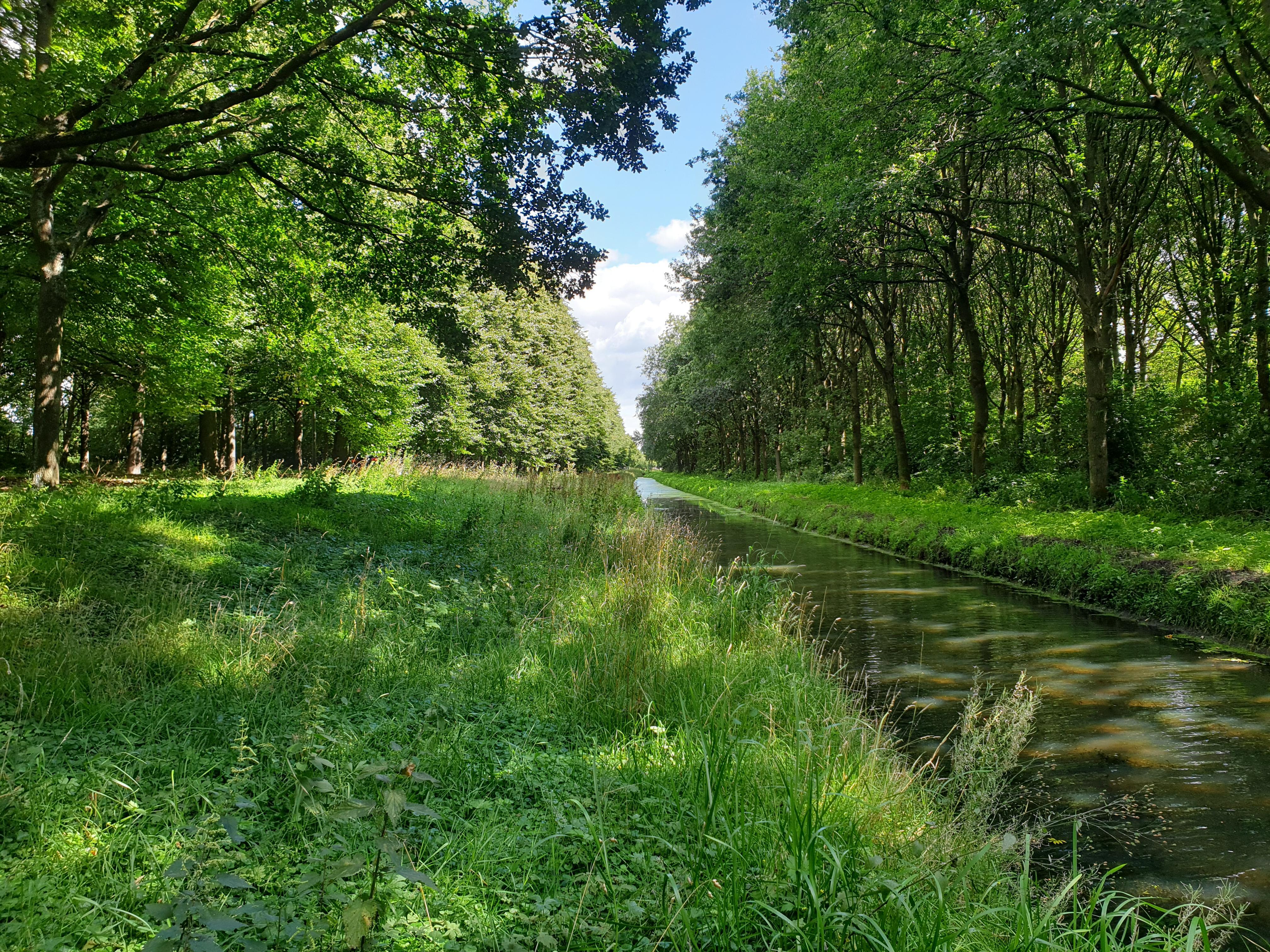 Op de barricaden voor groene entree Bijvanck. Raad Blaricum probeert met motie bomen bij HOV-halte t