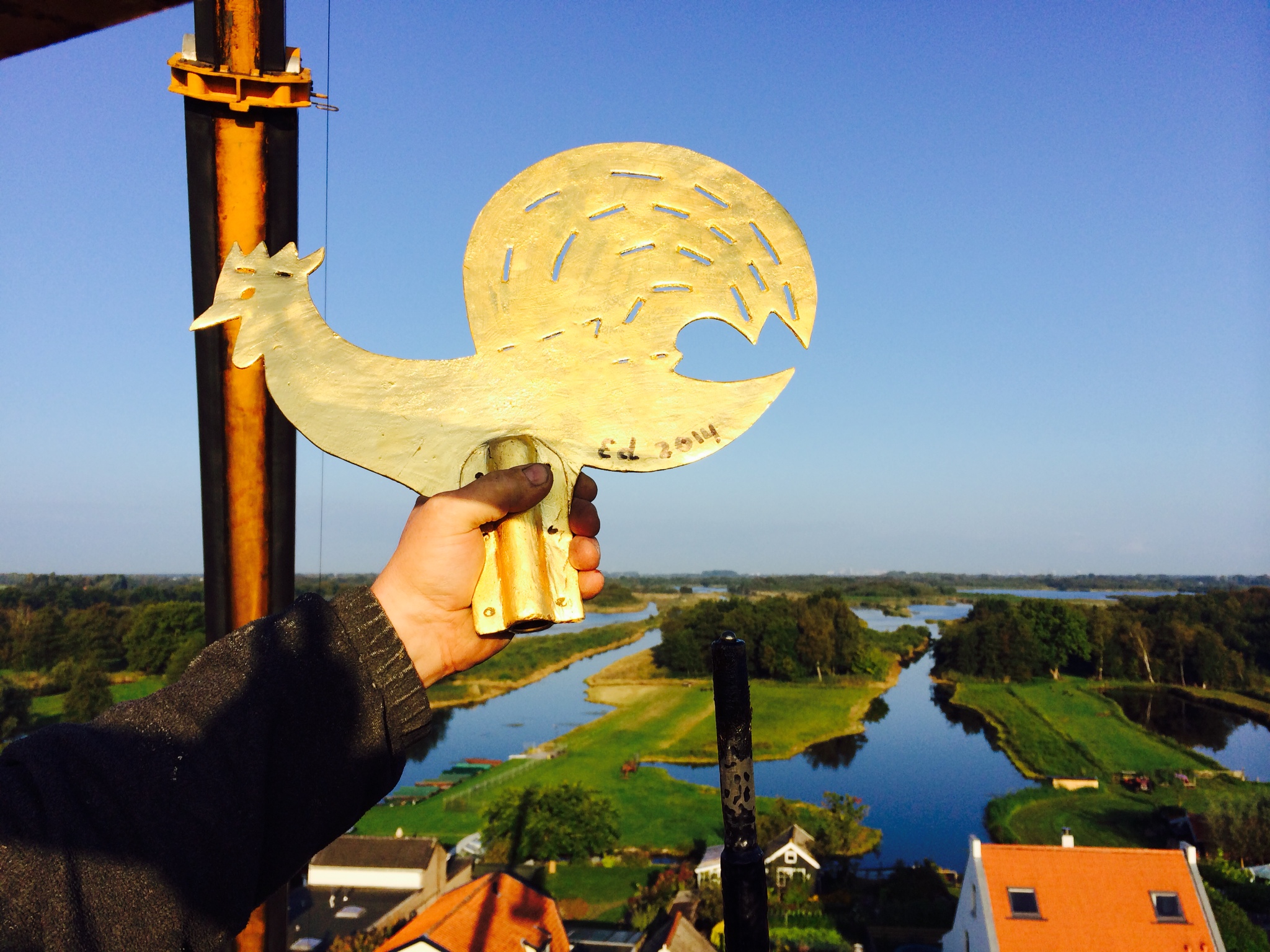 Haan staat weer op De Dillewijn in Ankeveen