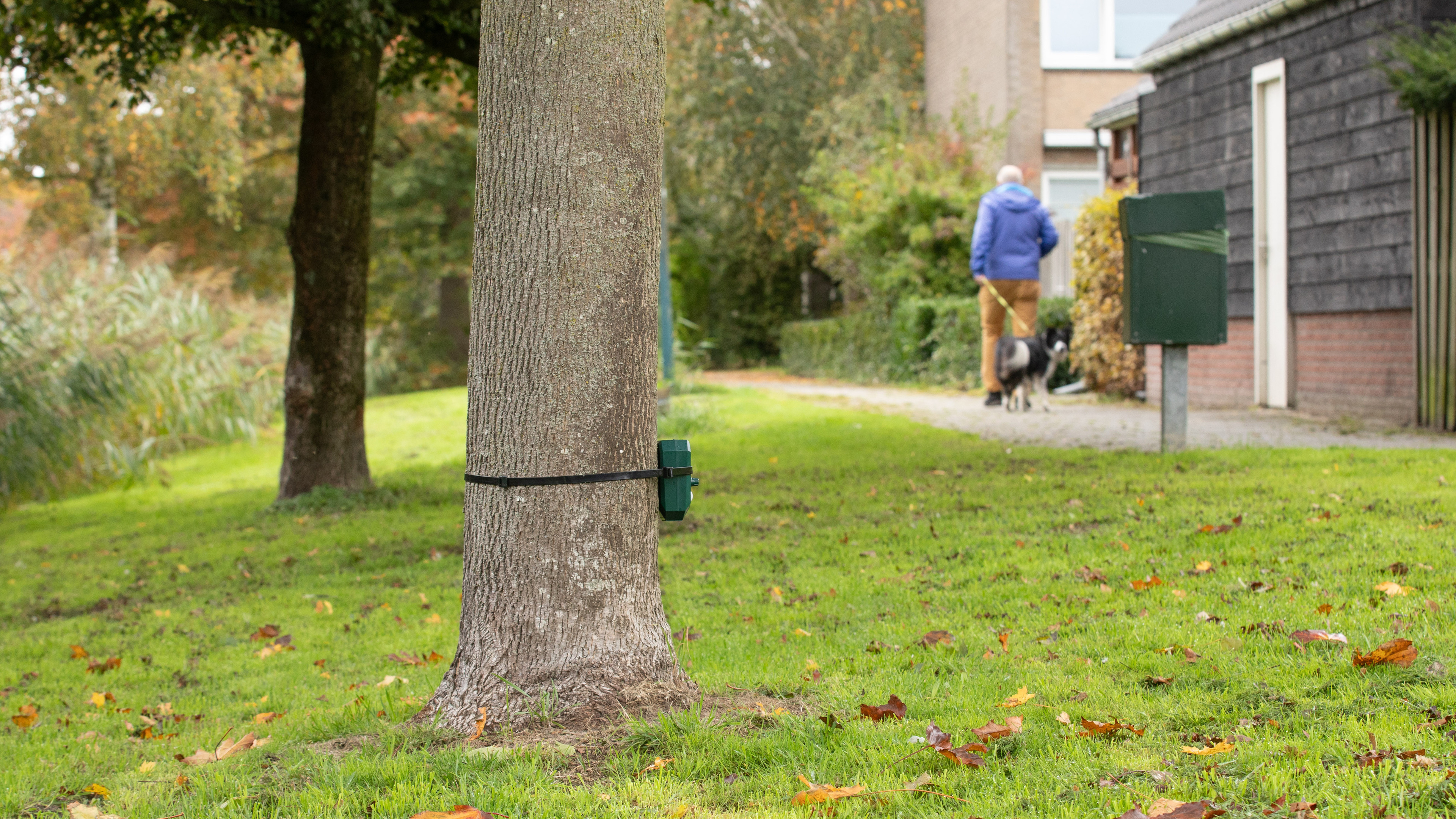 Mysterieus apparaatje in groenstrook plaatst Eemnes voor raadsel. ’Ultrasoon geluid? Ah, iemand is z