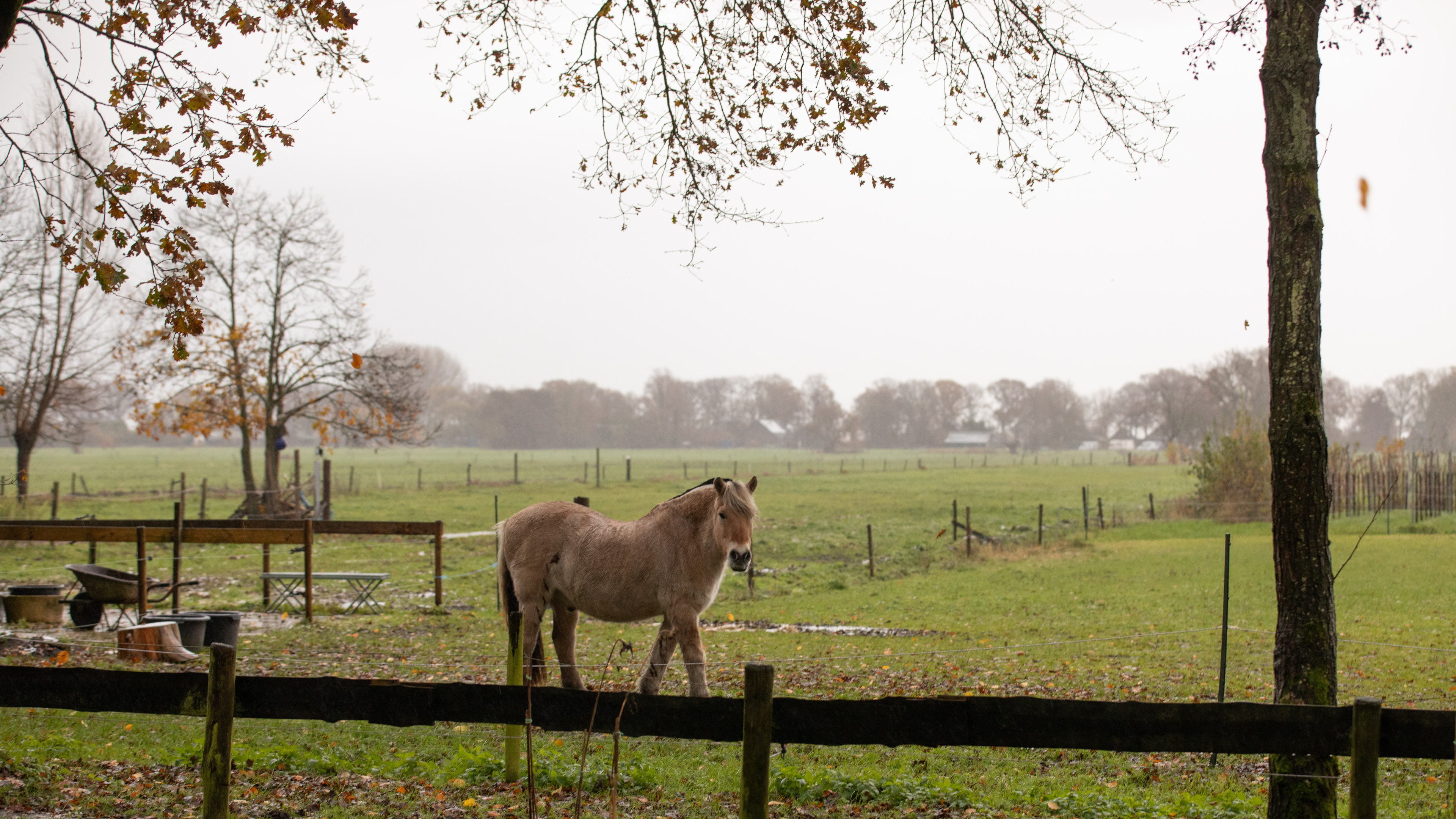 Grote vuurwerkshow gaat toch niet door in weilanden Eemnes. ‘De hoeveelheid reacties gaf de doorslag