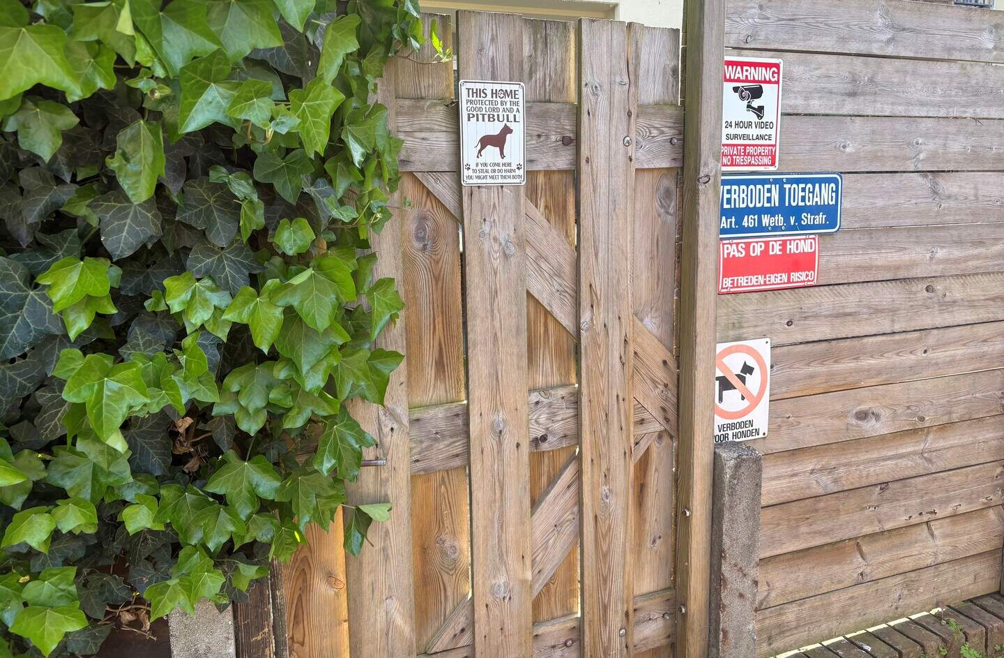 bord%20hond.jpg