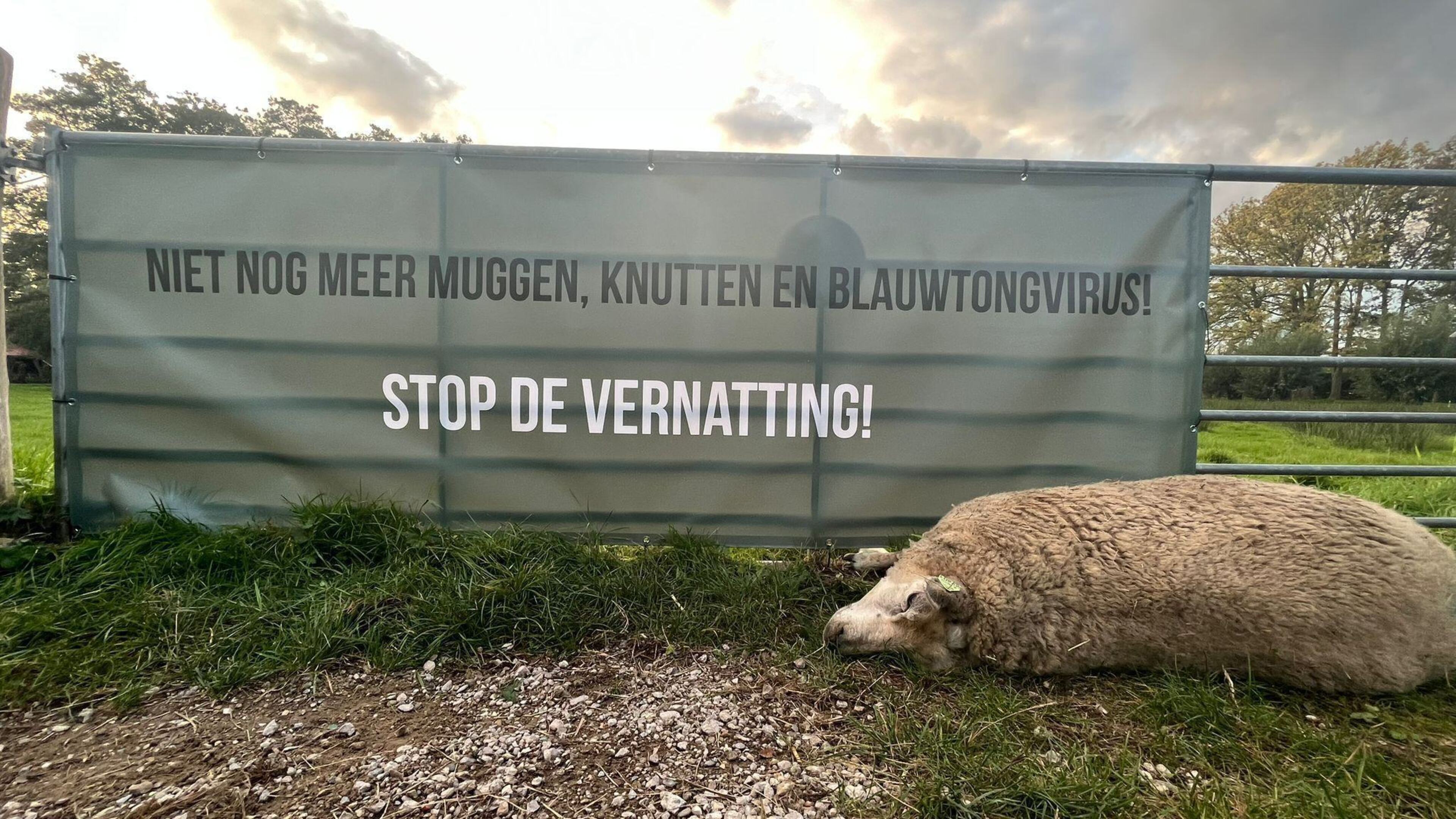 Provincie worstelt met laatste stukken nieuwe natuur zoals in Kortenhoef. 'Deadline 2027 halen we ni
